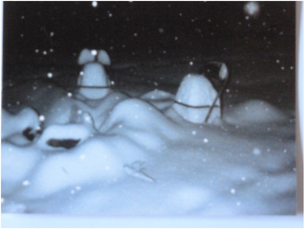 Hunting Snowstorm
